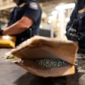 The Crucial Role of Police in Combating Drug-Related Offenses in Southwest Washington