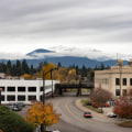 Combating Crime in Southwest Washington: Strategies and Progress