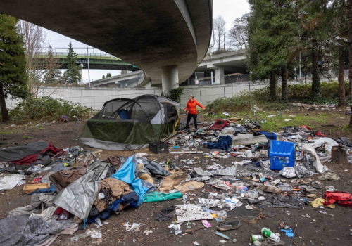 The Police Department's Role in Addressing Homelessness in Southwest Washington